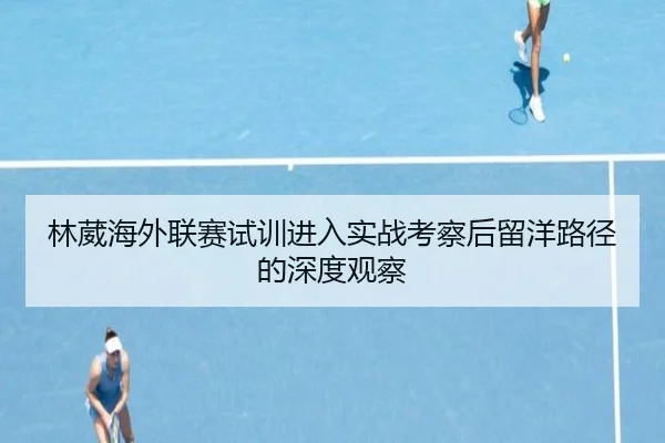 林葳海外联赛试训进入实战考察后留洋路径的深度观察